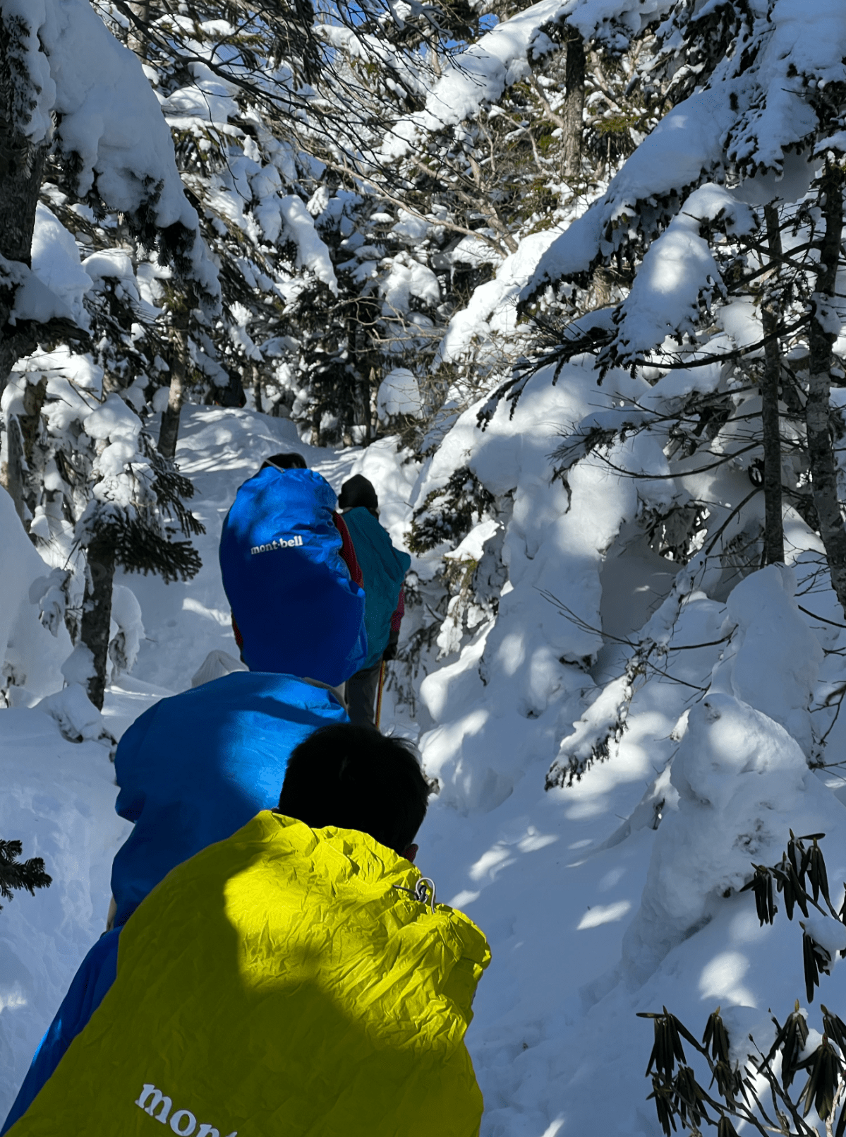 今回のエクスプロラーの冒険は厳冬期に関わらず暖かかった！